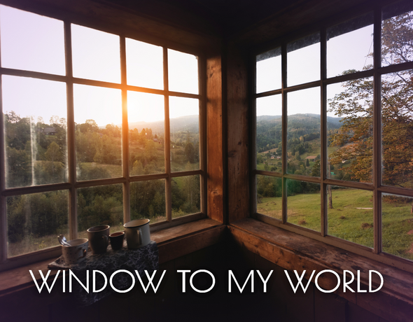 Canva stock photo with additiions